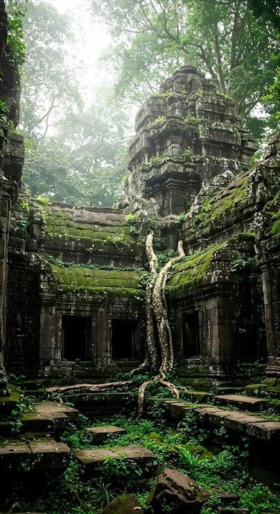 Moosbewachsene Tempelruine im dichten, grünen Dschungel